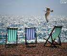 Τρεις καρέκλες παραλίας και ένας γλάρος που φέρουν δίπλα από την ακτή της θάλασσας